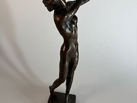 De golfer - swing kees verkade - afbeelding 2 van  6