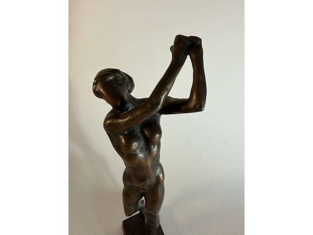 De golfer - swing kees verkade - afbeelding 4 van  6