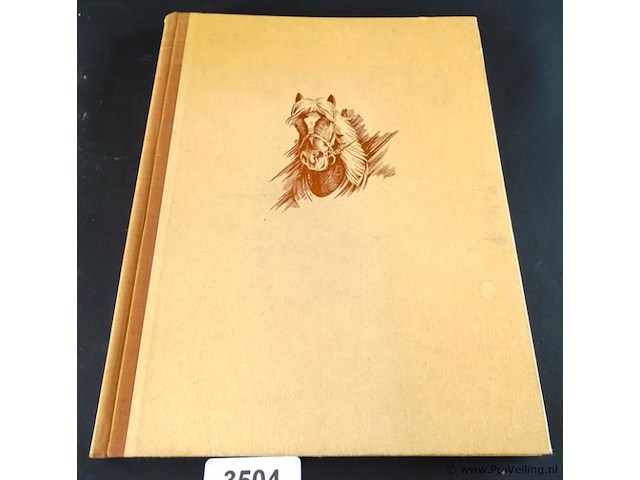 De haflinger in tirol - afbeelding 2 van  5