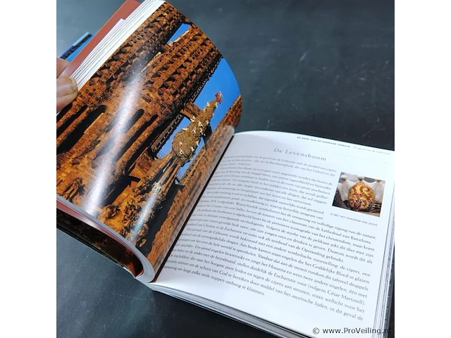 De kerk van de sagrade familia - afbeelding 4 van  5