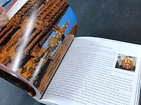 De kerk van de sagrade familia - afbeelding 4 van  5