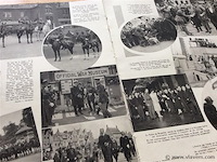 De koninklijke familie / victoria - afbeelding 4 van  7