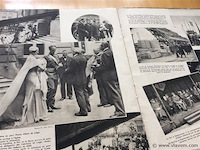De koninklijke familie / victoria - afbeelding 5 van  7