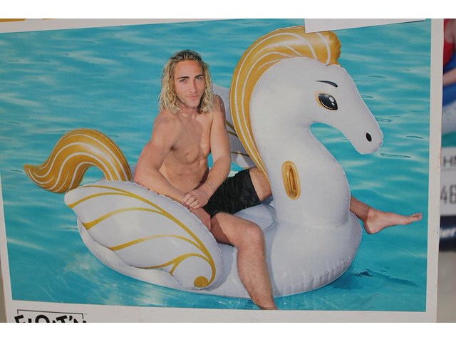 De luxe pegasus bestway , afm. 231 cm x 150 cm. - afbeelding 2 van  2