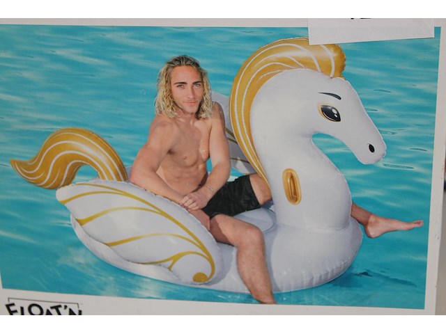 De luxe pegasus bestway floating fashion, afm. 231 cm x 150 cm. - afbeelding 2 van  2