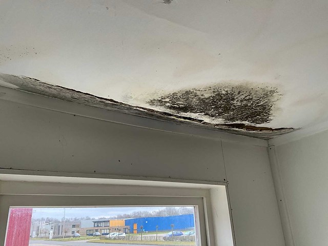 De meeuw kantoorunit - afbeelding 12 van  17