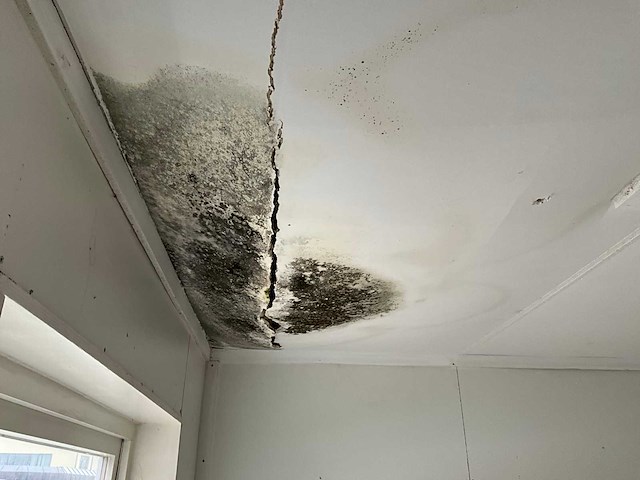 De meeuw kantoorunit - afbeelding 4 van  17