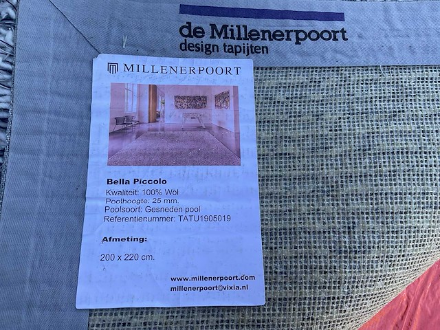 De millenerpoort bella piccolo design tapijt 200x225cm 100% wol - afbeelding 6 van  6