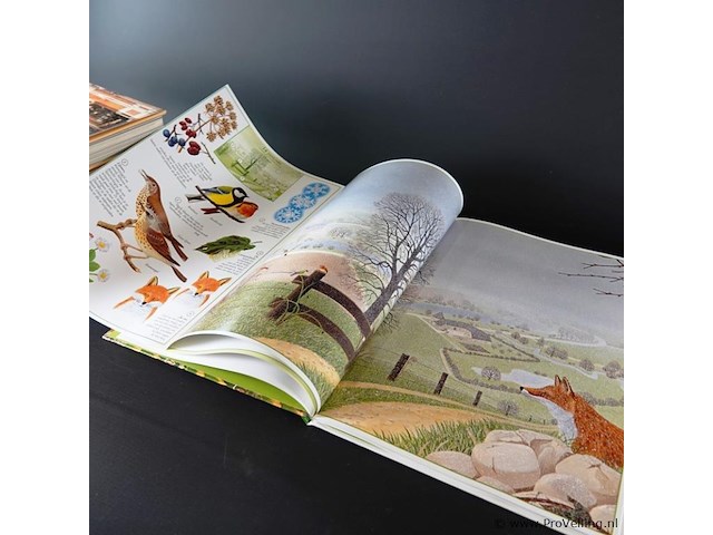 De natuur het hele jaar door - afbeelding 4 van  5