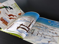 De natuur het hele jaar door - afbeelding 5 van  5