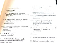 De nederlandse identiteit in de kunst na 1945 - afbeelding 3 van  5