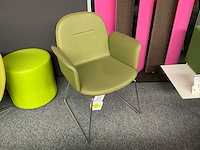 Deberenn reptile mini fauteuil (2x) - afbeelding 2 van  3