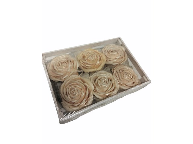 Deco roos in bakje champagne / wit 1 set - afbeelding 5 van  11