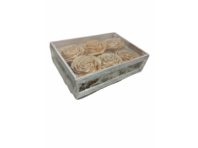 Deco roos in bakje champagne / wit 8 set - afbeelding 4 van  11