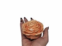 Deco roos in bakje rose 8 set - afbeelding 3 van  7