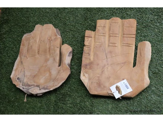 Deco teak houten schalen (hand) - set van 2 stuks - afbeelding 1 van  4