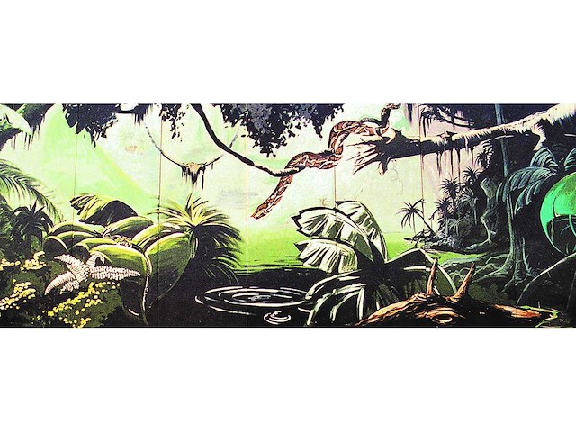 Decor: jungle tropen - afbeelding 1 van  2