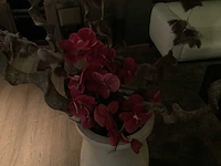 Decoratie bloemstuk - indoor plants & flowers - afbeelding 3 van  4