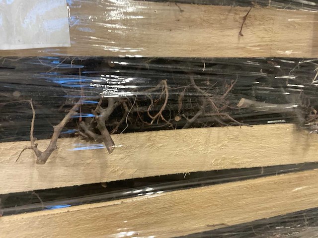 Decoratie bonsai takjes - afbeelding 5 van  6