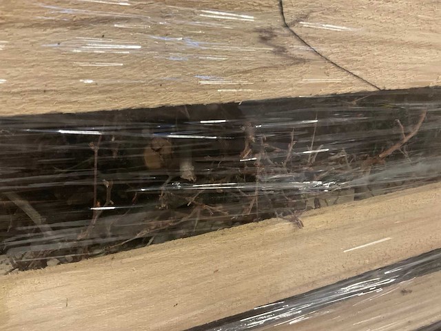 Decoratie bonsai takjes - afbeelding 2 van  5