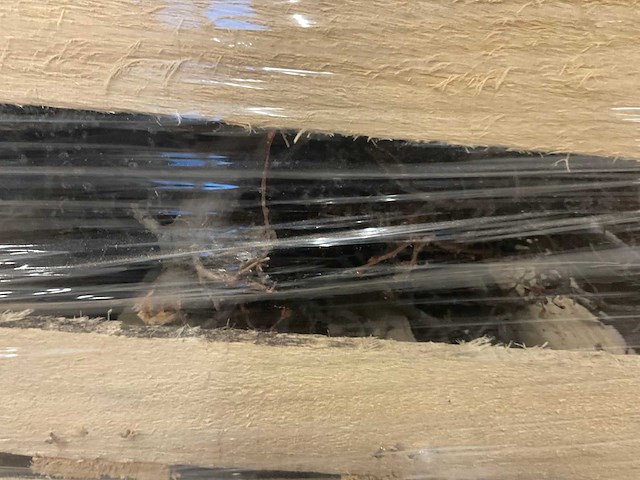 Decoratie bonsai takjes - afbeelding 4 van  5