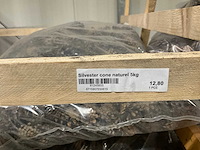 Decoratie denneappels - afbeelding 4 van  6