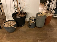 Decoratie in wandmeubel en planten - afbeelding 7 van  8