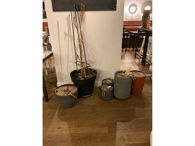 Decoratie in wandmeubel en planten - afbeelding 8 van  8