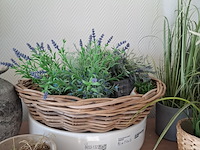 Decoratie-items - afbeelding 2 van  15