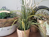 Decoratie-items - afbeelding 3 van  15