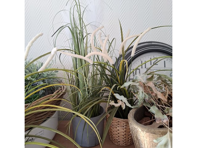 Decoratie-items - afbeelding 4 van  15