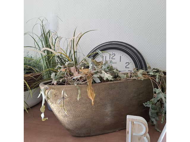 Decoratie-items - afbeelding 5 van  15