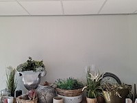 Decoratie-items - afbeelding 1 van  15