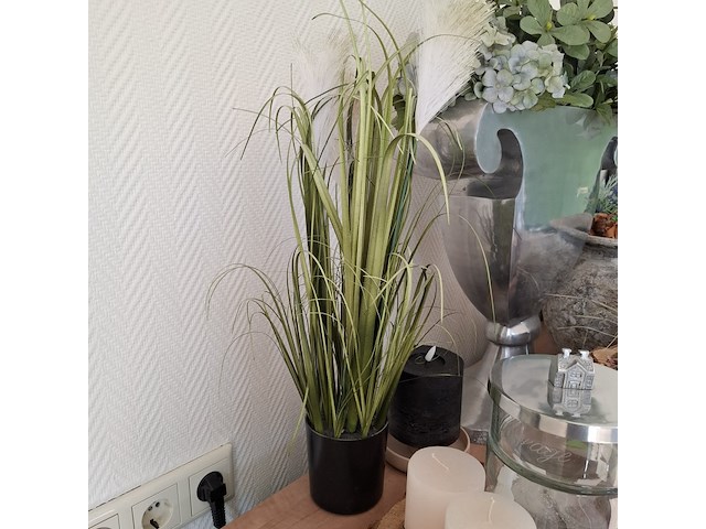 Decoratie-items - afbeelding 12 van  15