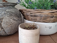 Decoratie-items - afbeelding 15 van  15