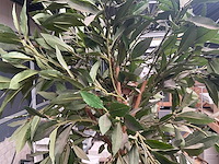Decoratie kunststof plant in een metalen pot 140cm - afbeelding 5 van  5