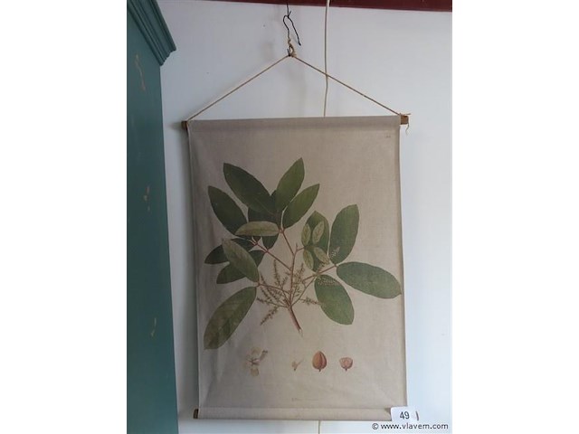 Decoratie oprolbaar - afbeelding 1 van  3