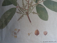 Decoratie oprolbaar - afbeelding 3 van  3