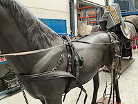 Decoratie paard met tuig - afbeelding 8 van  8