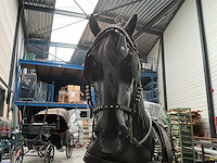 Decoratie paard met tuig - afbeelding 7 van  9