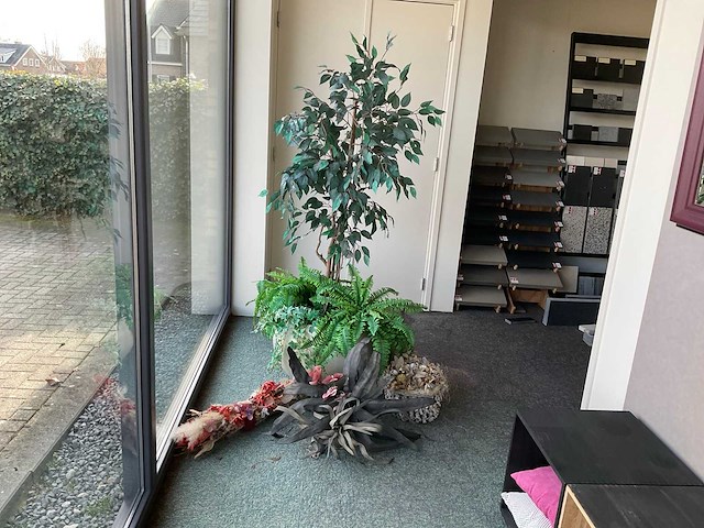 Decoratie plant en bloemen - afbeelding 1 van  2