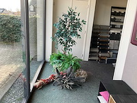 Decoratie plant en bloemen - afbeelding 1 van  2