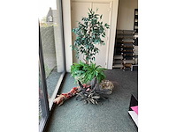 Decoratie plant en bloemen - afbeelding 2 van  2