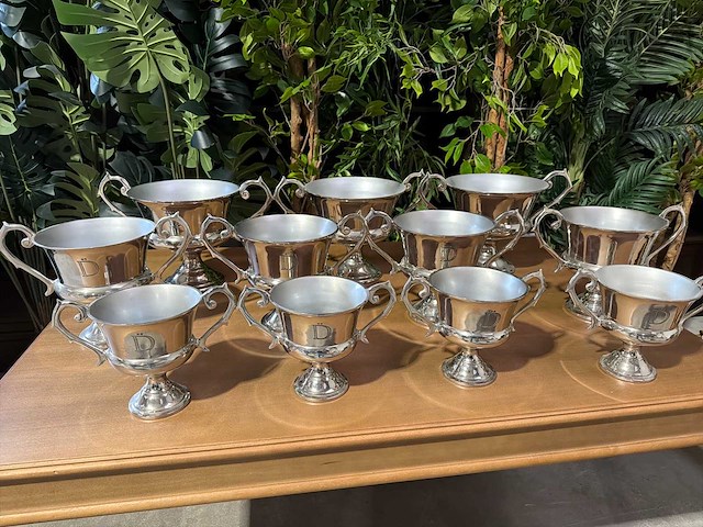 Decoratie schalen (11x) - afbeelding 1 van  3