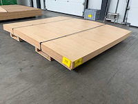 Decoratie spaanplaat 2650x2100x10mm (13x) - afbeelding 2 van  6