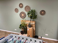 Decoratie - afbeelding 1 van  18