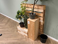 Decoratie - afbeelding 11 van  18