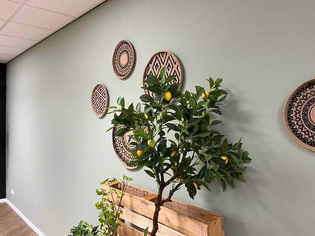 Decoratie - afbeelding 12 van  18