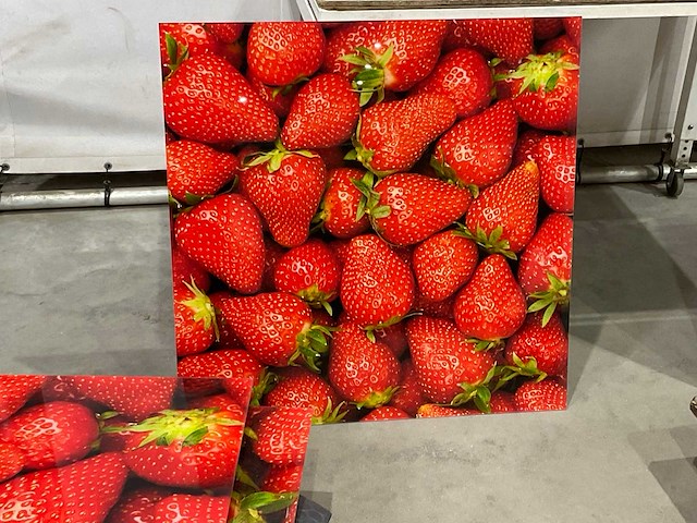 Decoratie - afbeelding 5 van  5