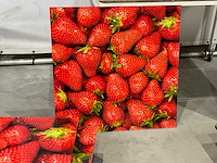 Decoratie - afbeelding 5 van  5